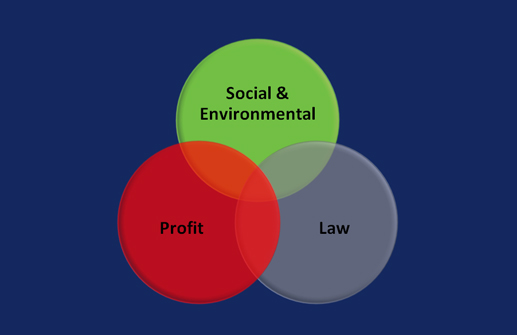 social_marketplace_shareholder_theory_ethics_enlightened_value_theory
